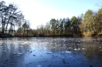 Am Neuwirtshäuser Weiher