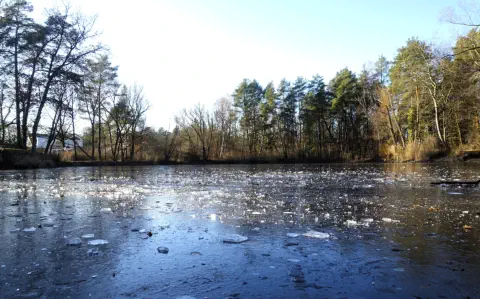 Am Neuwirtshäuser Weiher