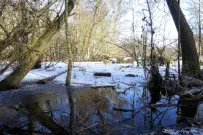 Naturschutzgebiet Schifflache im Winter